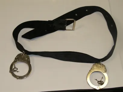 Pas obezwładniający