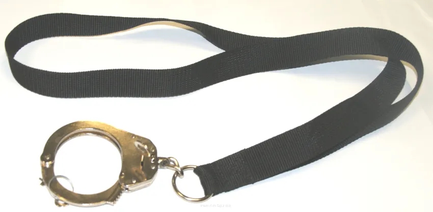 Prowadnica dla nieletnich